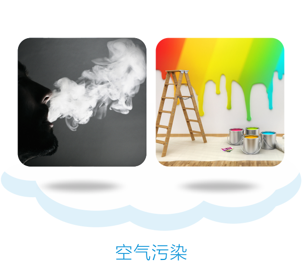 新澳门精准马料大全