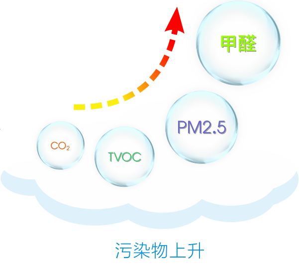 新澳门精准马料大全