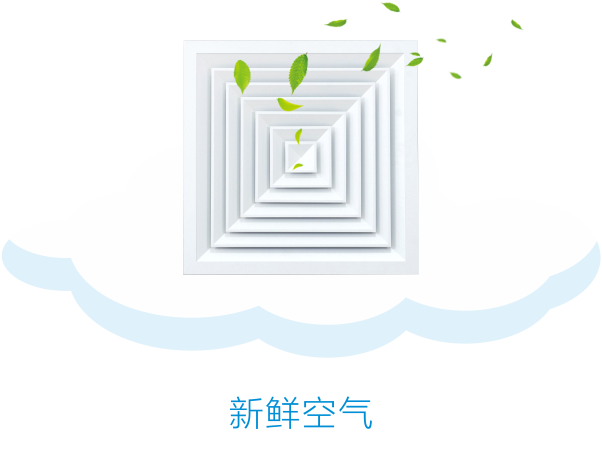 新澳门精准马料大全